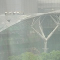 singapore 2009 004